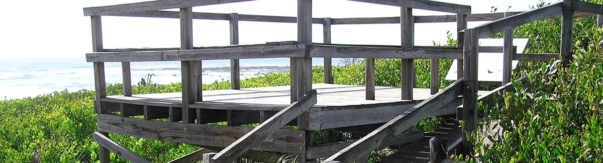 Viewing Platforms
